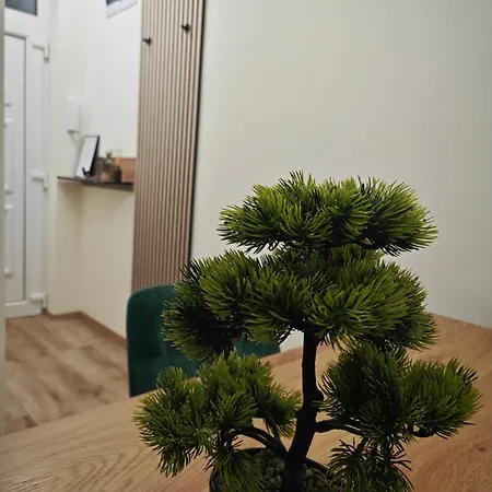 Apartamento Greatforest *